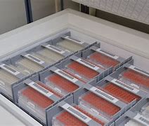 Image result for Dividers for Small Chest Freezer