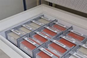 Image result for Organizers for a Chest Freezer