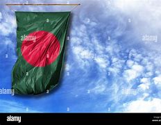 Image result for Bangladesh Flag Graphics