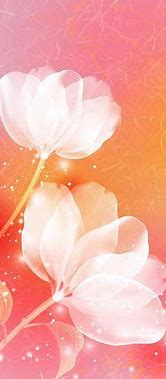 Image result for Kindle Fire 8 Flower Wallpaper