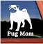 Image result for Pug Gifts