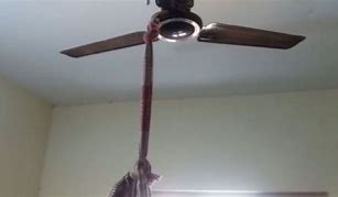 Image result for Girl Found Hanging