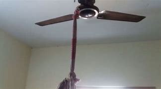 Image result for Woman Found Hanging
