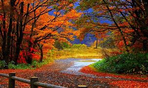 Image result for Fall Wallpaper 1080P