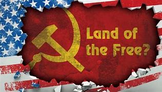 Image result for America land of the free