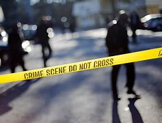 Image result for Crime View