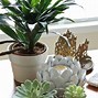 Image result for PVC Pipe Flowers