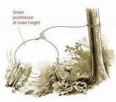 Image result for Simple Snare