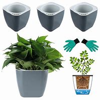 Image result for Self Watering Planters Large