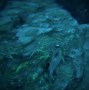 Image result for Underwater Caves Ragnarok Ark