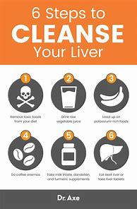 Image result for How to Cleanse Your Liver