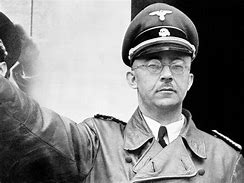 Image result for Heinrich Himmler SS