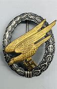 Image result for Fallschirmjager Emblem
