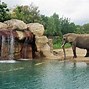 Image result for Indianapolis Zoo