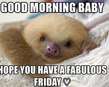 Image result for Good Morning Funny Sloth Memes