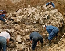 Image result for Bosnian War Dead Bodies