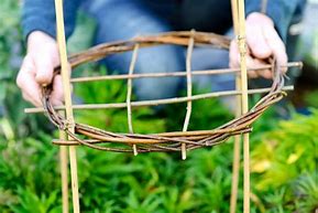 Image result for Willow Plant Supports