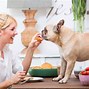 Image result for Puppy Odor