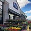Image result for Annual Flowers at Lowe's