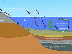 Image result for Sediments Deposited in Horizontal Layers