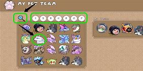Image result for Prodigy Math Game Starter Pets