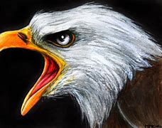 Image result for Screaming Eagle Artwork