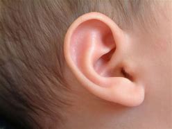 Image result for Care Ear for Kids