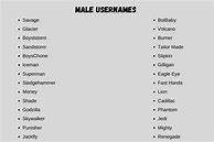 Image result for Male Username Ideas