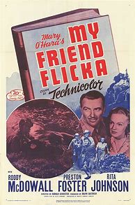 Image result for My Friend Flicka Movie