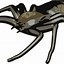 Image result for Arachne Cartoon