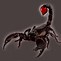 Image result for Cartoon Scorpion Dancer