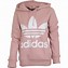 Image result for Clear Pink Adidas Hoodie