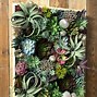Image result for Faux Succulent Wall Art, Green - Large