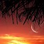Image result for Tropical Beach Sunset iPhone Wallpaper