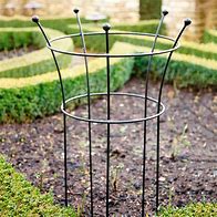 Image result for Best Tall Plant Supports