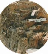 Image result for WW2 Nanjing Massacre