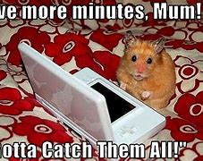 Image result for Tender Humor Mouse