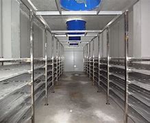Image result for Fish Cold Storage