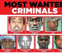 Image result for The Most Wanted Criminal