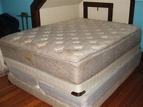 Image result for Sears Kate Mattress
