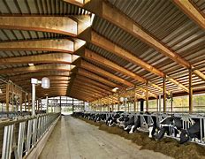 Image result for Dairy Barn Commercial 2002