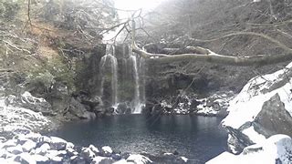 Image result for Jeju Island Winter