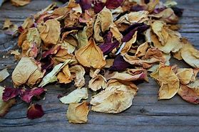 Image result for Dried Petals