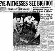 Image result for bigfoot news articles