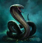 Image result for Digital Snake Art
