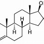 Image result for DHEA Testosterone