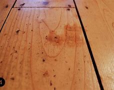 Image result for Repair Wood Dents with Iron