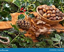 Image result for Christmas Nuts