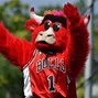 Image result for Basketball Team Mascots