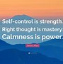 Image result for Calmness Is Power Quote